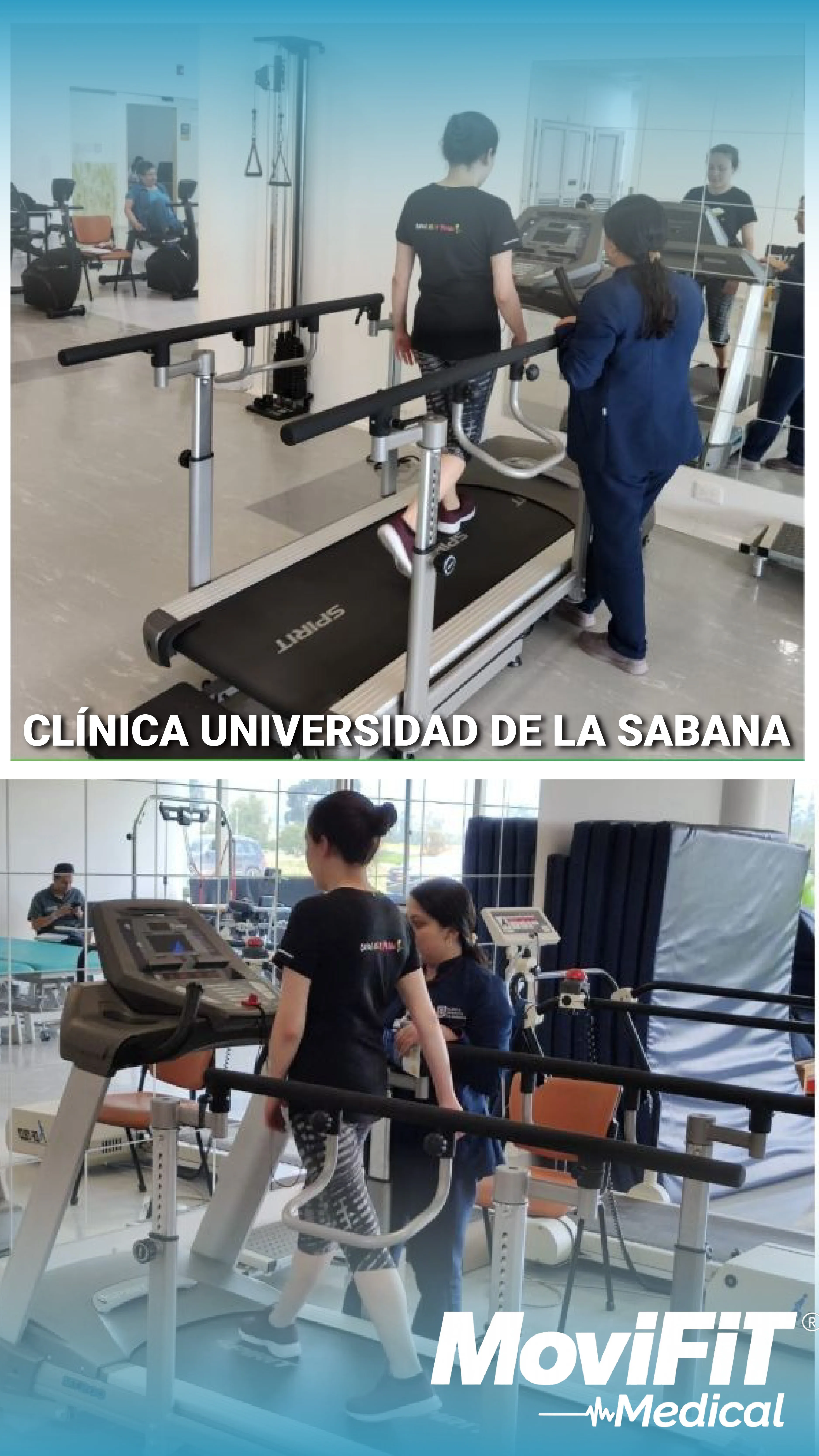Proyecto 4